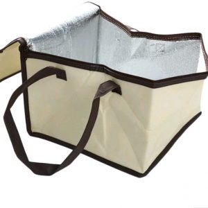 Reusable cooler bag