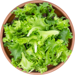 Lettuce