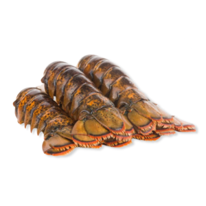 Crayfish