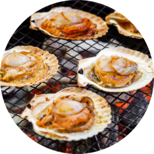 Half shell scallops