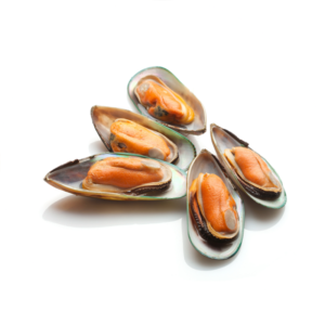 Half-Shell Green Mussels