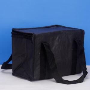 Large Reusable cooler bag