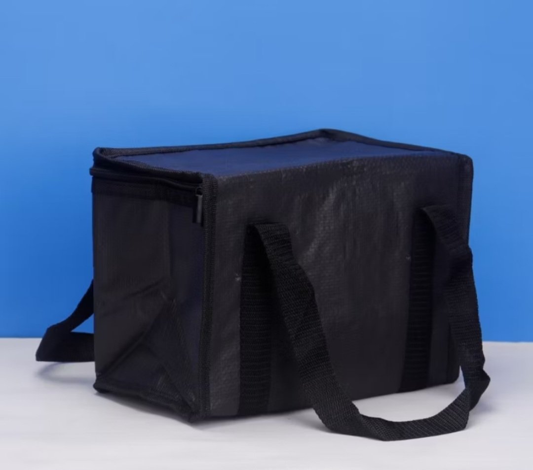 Large Reusable cooler bag